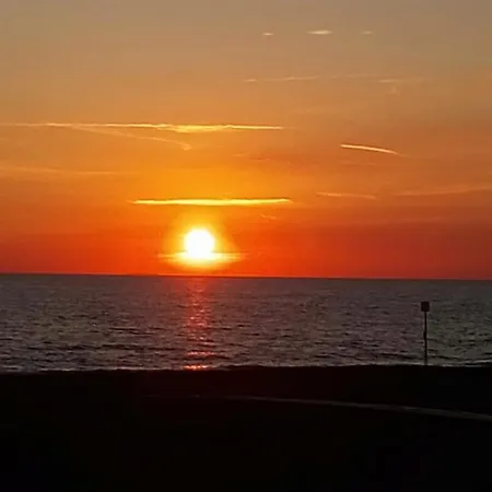 Lupo Di Mare