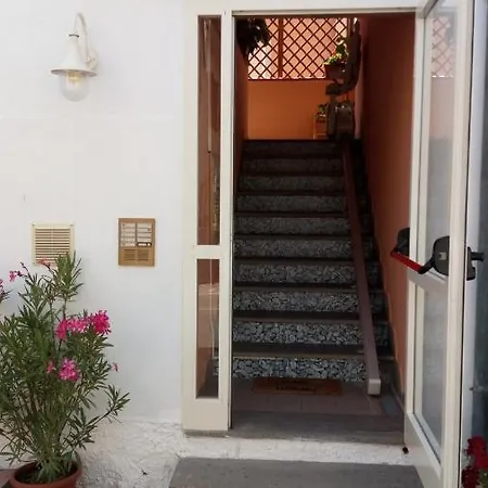 Hotel Lupo Di Mare