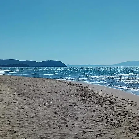 Hotel Lupo Di Mare